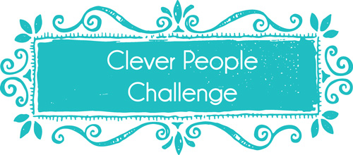 Call for Participants - Clever People Challenge