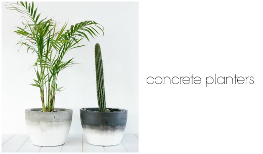 Concrete Planters
