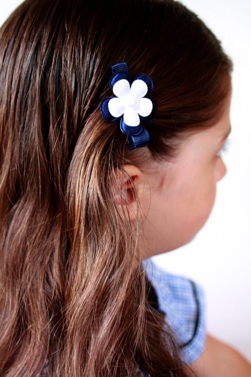 Back to School hair clips