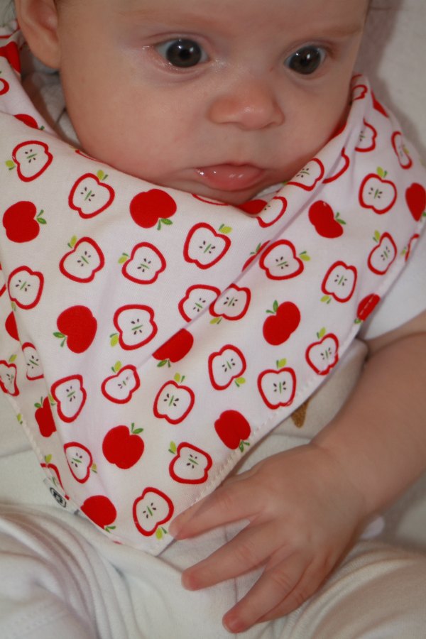 Bibska Bibs Apple Pie Design