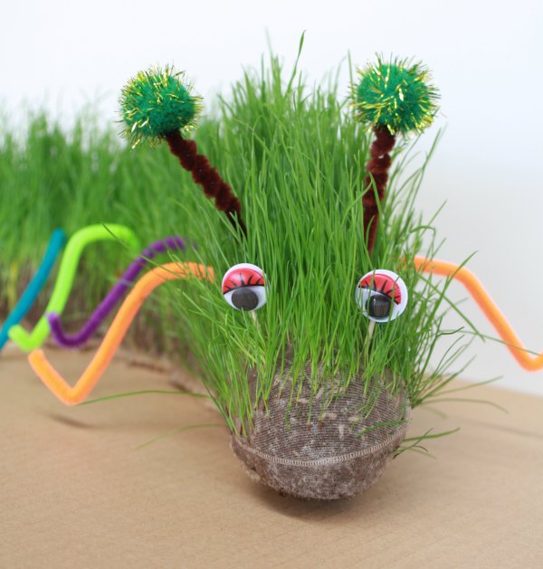 Kids Craft - grow a grass caterpillar - Handmade KidsHandmade Kids