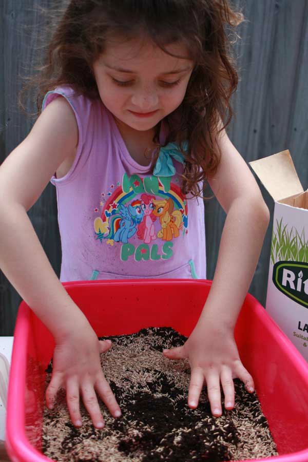 Step 1 Mix soil and seeds