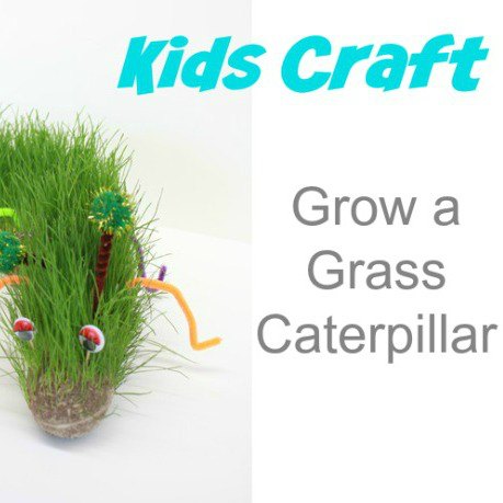 kids-craft-grow-a-grass-caterpillar