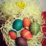 Dye-your-own-Easter-Eggs
