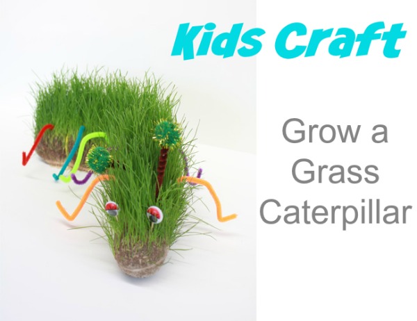 Kids Craft Grow a Grass Caterpillar